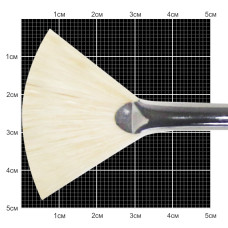 Щетина віялова, 6007, №6, д.р. пензель KOLOS, 4260070006