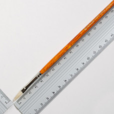 Щетина овальна, Grace 2023FR, № 1, д.р. пензель KOLOS, 422023FR01