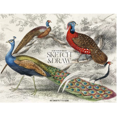 Склейка для ескізів та малювання, А5+, 40арк., 115г/м2, MUSE, PB-GB-040-068