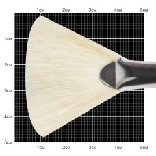 Щетина віялова, 6007, №10, д.р. пензель KOLOS, 4260070010