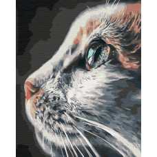 Картина за номерами, Котопрофіль, 40*50см, Brushme, BS51792